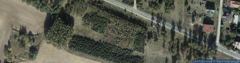 Zdjęcie satelitarne Rożno-Parcele