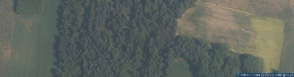 Zdjęcie satelitarne Rozworzyn