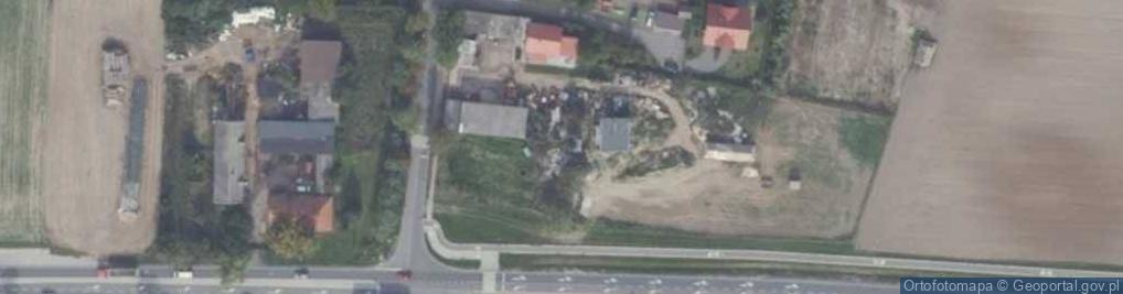 Zdjęcie satelitarne Rumianek (województwo wielkopolskie)