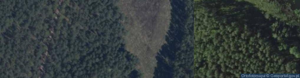Zdjęcie satelitarne Rutki (województwo warmińsko-mazurskie)