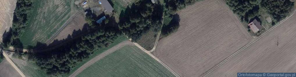 Zdjęcie satelitarne Sadłowo-Rumunki