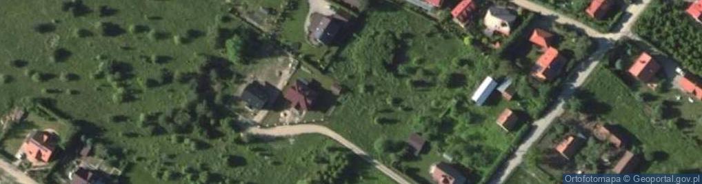 Zdjęcie satelitarne Saska