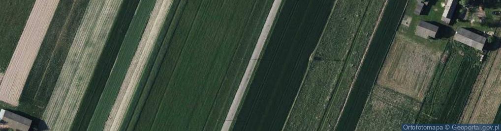 Zdjęcie satelitarne Siedliska (powiat lubartowski)