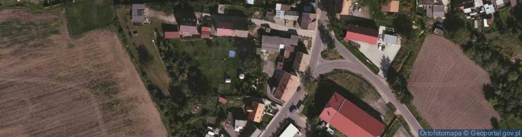 Zdjęcie satelitarne Sieniawka (powiat zgorzelecki)