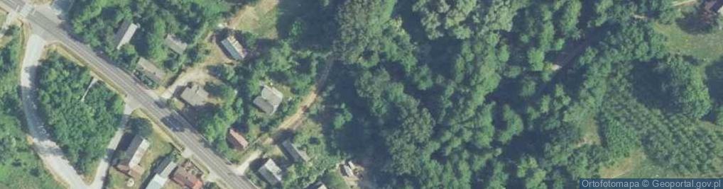 Zdjęcie satelitarne Skadla