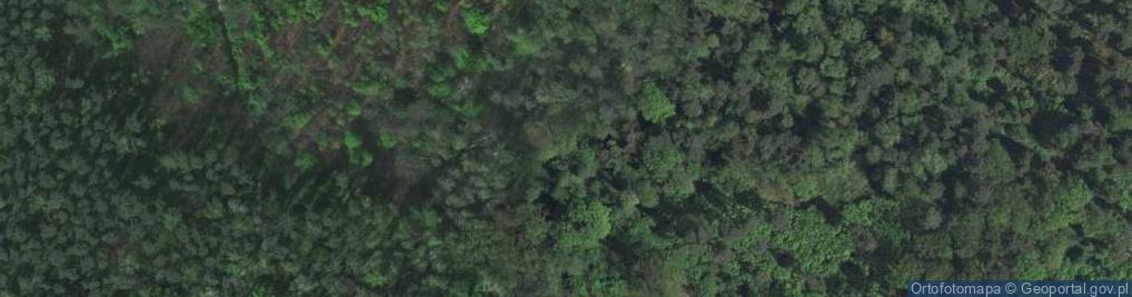 Zdjęcie satelitarne Skała Kmity