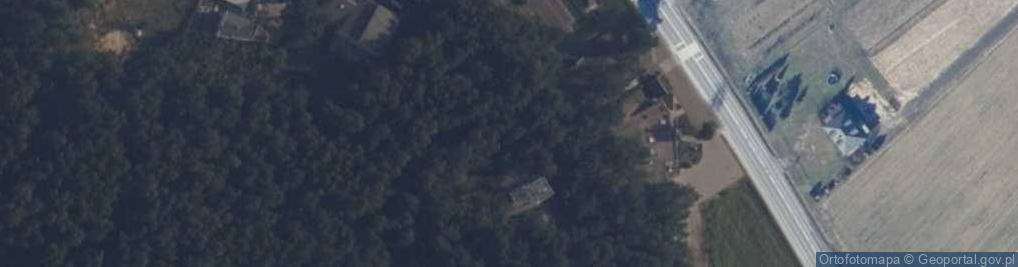 Zdjęcie satelitarne Skansen Bojowy 1 Armii Wojska Polskiego w Mniszewie