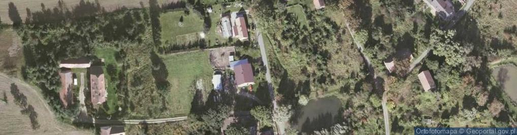Zdjęcie satelitarne Skrzydlice