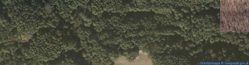 Zdjęcie satelitarne Sołonka