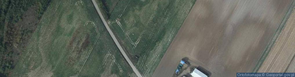 Zdjęcie satelitarne Spiczyny