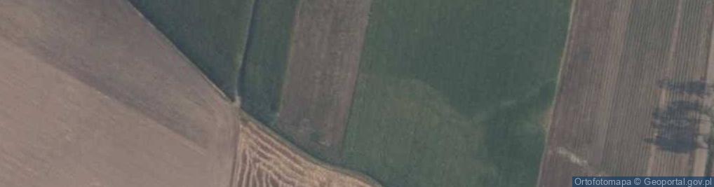 Zdjęcie satelitarne Stachowo (powiat płoński)