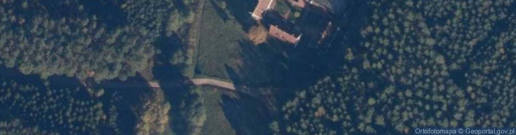 Zdjęcie satelitarne Stara Rogoźnica