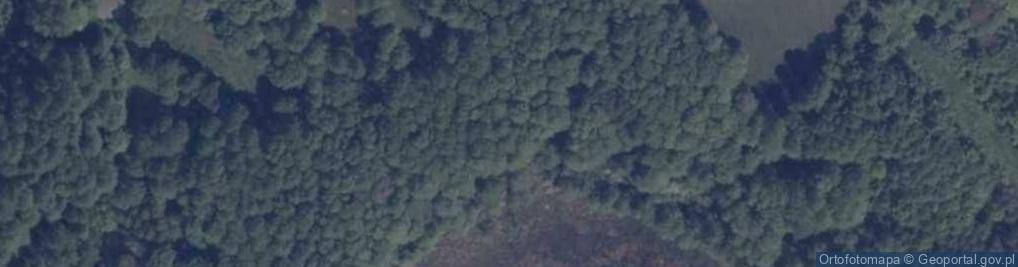 Zdjęcie satelitarne Stare Koprzywno