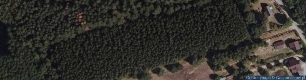 Zdjęcie satelitarne Stare Masiewo