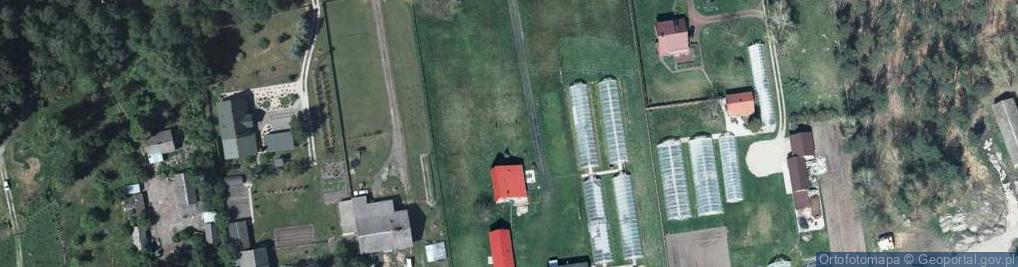 Zdjęcie satelitarne Stasinów (województwo lubelskie)