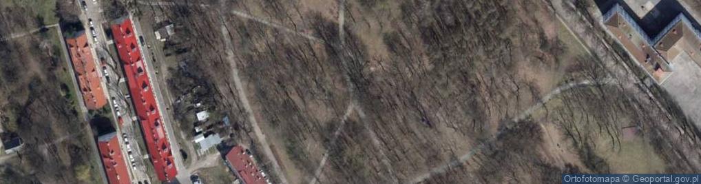 Zdjęcie satelitarne Stoki (osiedle w Łodzi)