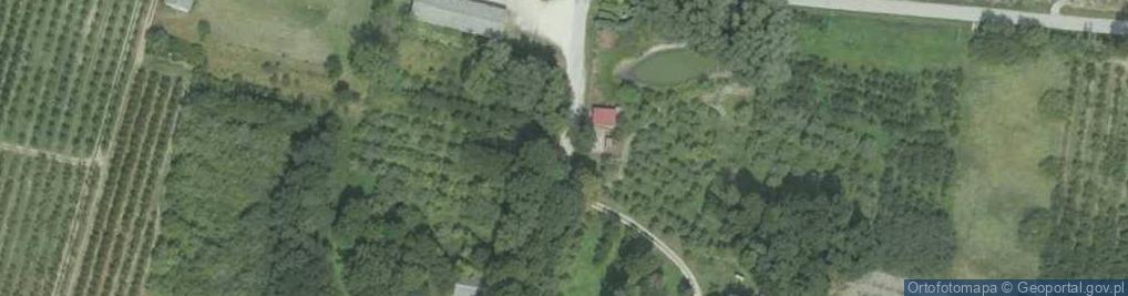 Zdjęcie satelitarne Strzałków (województwo świętokrzyskie)