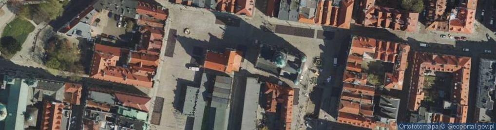Zdjęcie satelitarne Studzienka Bamberki w Poznaniu