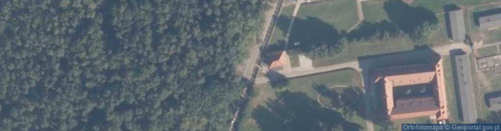 Zdjęcie satelitarne Stutthof (KL)