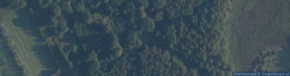 Zdjęcie satelitarne Święte (województwo pomorskie)