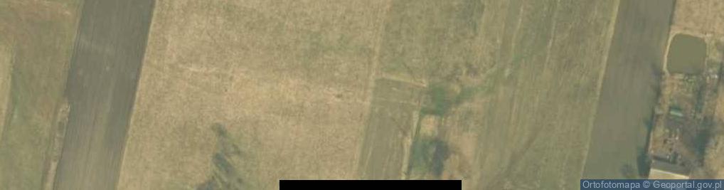 Zdjęcie satelitarne Świnice Warckie-Kolonia