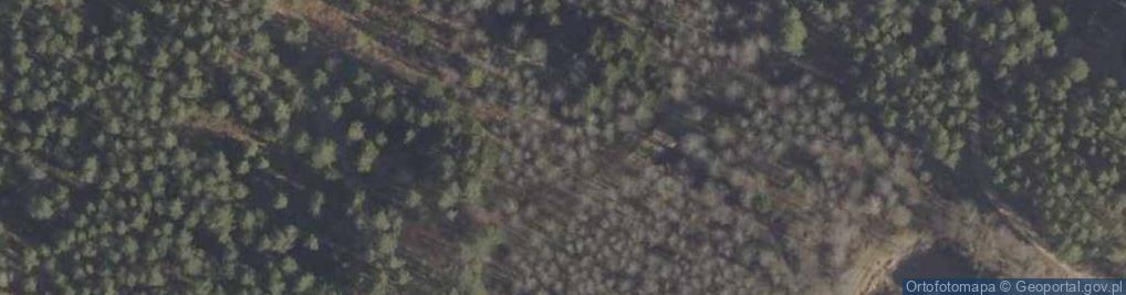 Zdjęcie satelitarne Świnobród (województwo podlaskie)