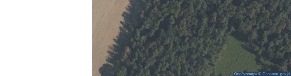 Zdjęcie satelitarne Swobodnia