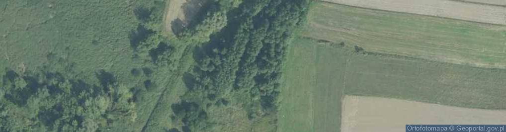 Zdjęcie satelitarne Szczygłów
