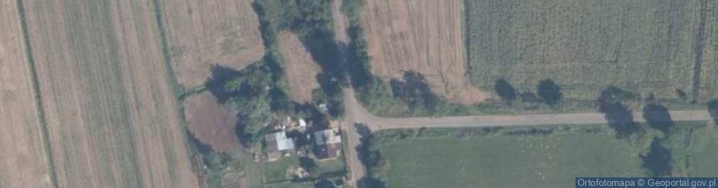Zdjęcie satelitarne Szkarpawa (województwo pomorskie)