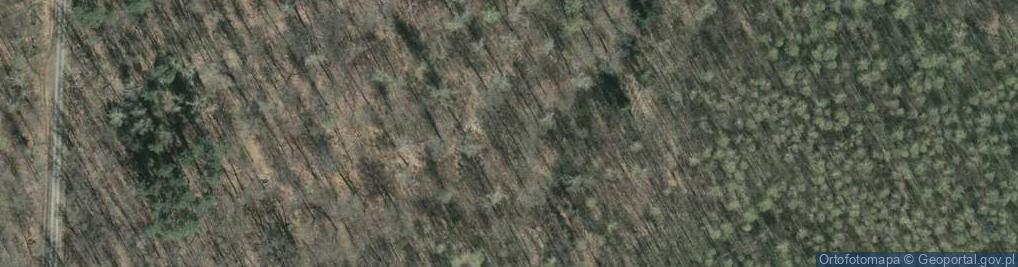 Zdjęcie satelitarne Szkło (miasto)