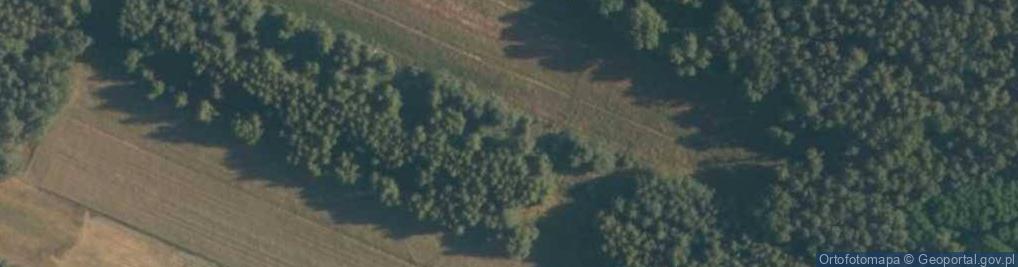 Zdjęcie satelitarne Szydłówek (województwo łódzkie)