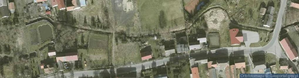 Zdjęcie satelitarne Targowica (województwo dolnośląskie)