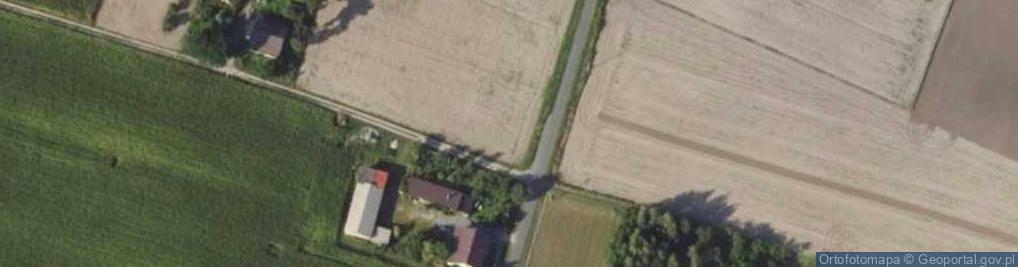 Zdjęcie satelitarne Tarnówka (gmina Kłodawa)