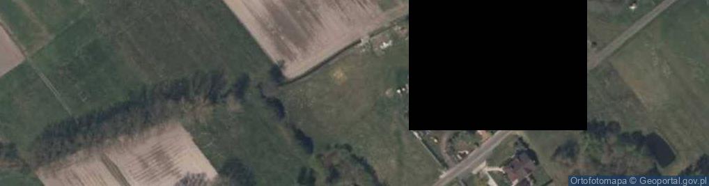 Zdjęcie satelitarne Teofilów (gmina Drużbice)