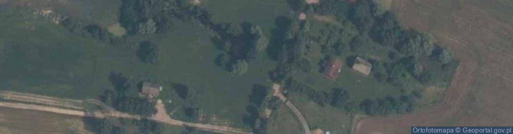 Zdjęcie satelitarne Tomaszewo (powiat starogardzki)
