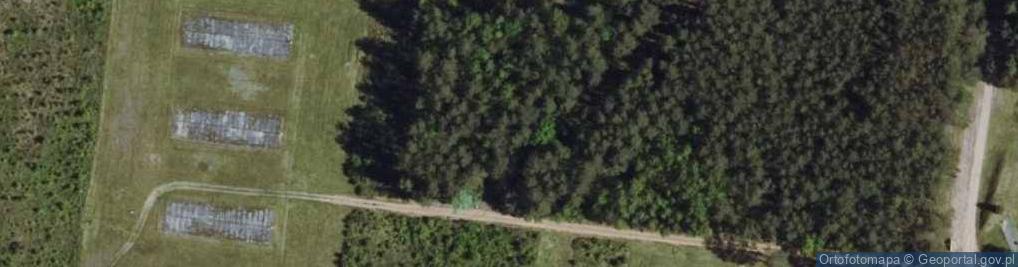 Zdjęcie satelitarne Treblinka (KL)