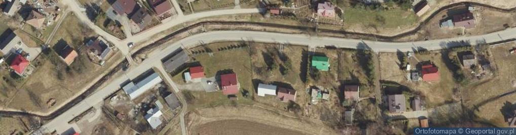 Zdjęcie satelitarne Trzcinica (województwo podkarpackie)