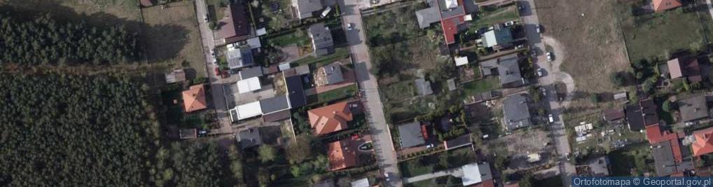 Zdjęcie satelitarne Trzciniec (powiat nakielski)