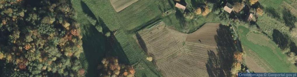 Zdjęcie satelitarne Trzemesna