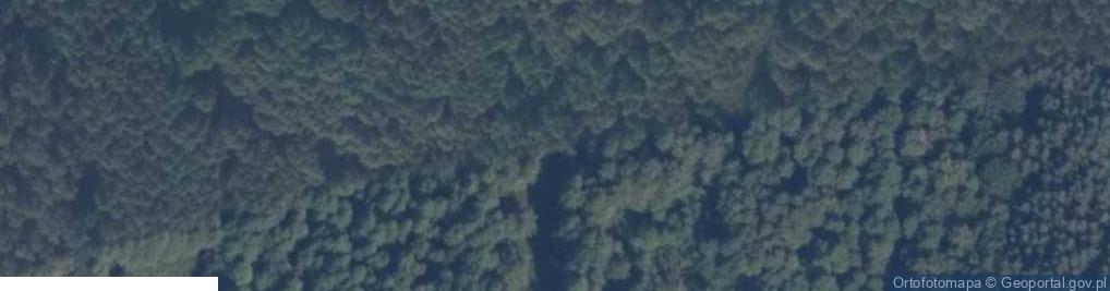 Zdjęcie satelitarne Wąsochy