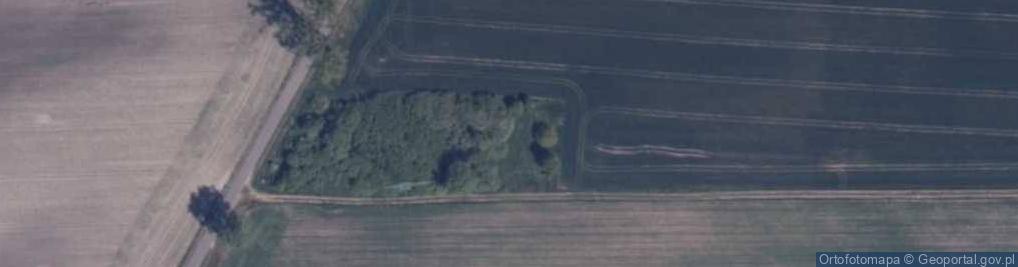 Zdjęcie satelitarne Wielisławice (województwo zachodniopomorskie)