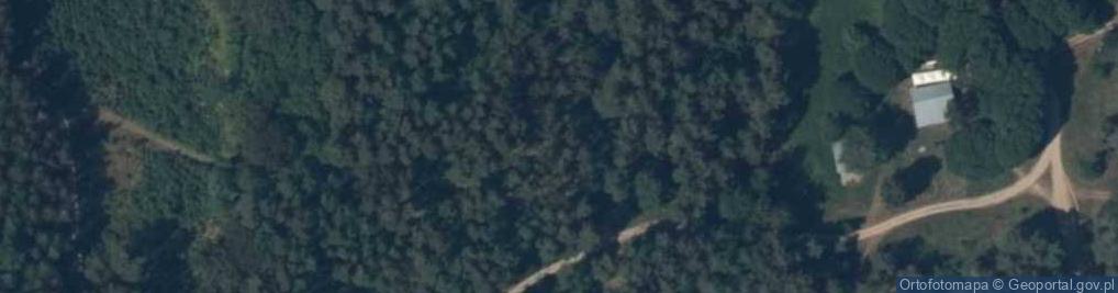 Zdjęcie satelitarne Wielki Bukowiec (wyspa)