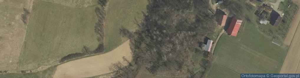 Zdjęcie satelitarne Wieruszyce