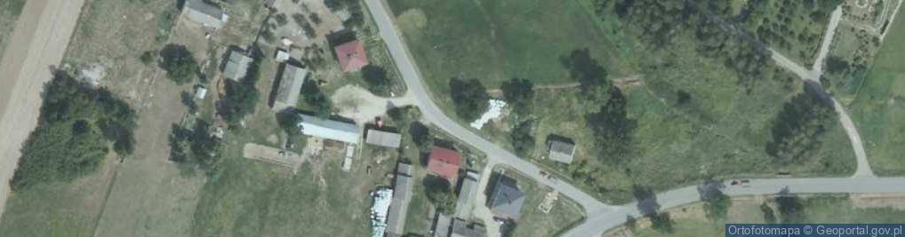 Zdjęcie satelitarne Wierzbica (powiat buski)