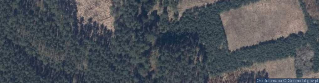 Zdjęcie satelitarne Wierzchlas (województwo zachodniopomorskie)