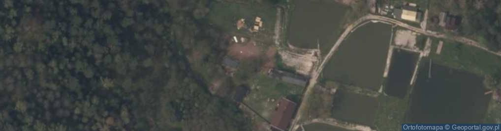 Zdjęcie satelitarne Wierzchowiec (województwo łódzkie)