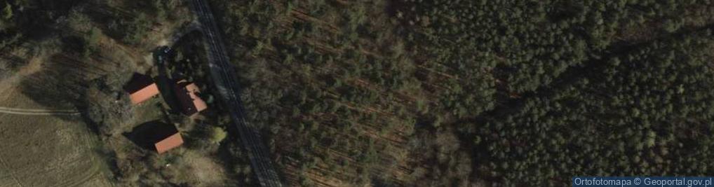 Zdjęcie satelitarne Wierzysko