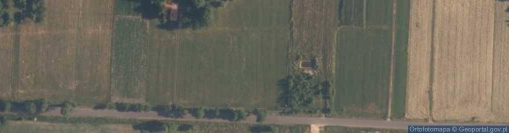 Zdjęcie satelitarne Wiewiórów (gmina Lgota Wielka)