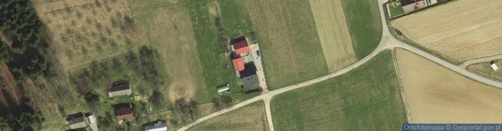 Zdjęcie satelitarne Wilczak (województwo małopolskie)