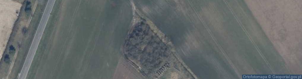 Zdjęcie satelitarne Wilczyniec (województwo zachodniopomorskie)